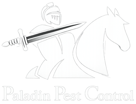 Paladin Pest Control | Colorado Springs Pest Experts